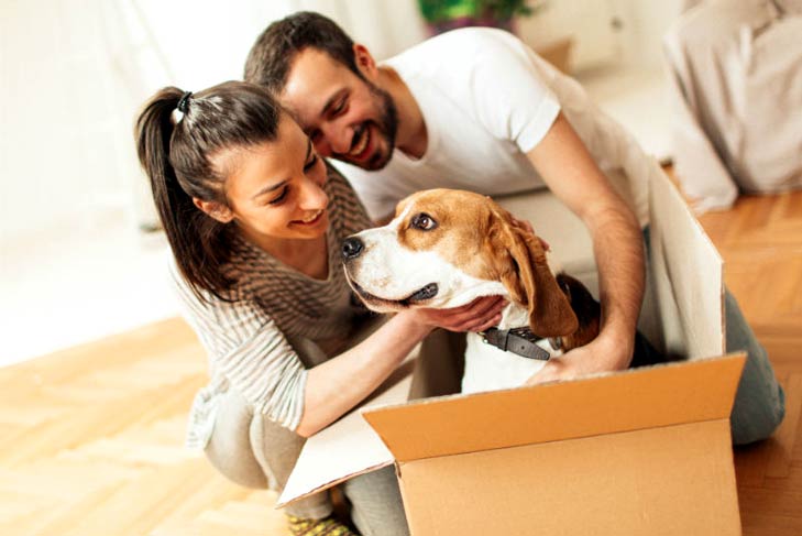 Moving with Pets: Tips for Success